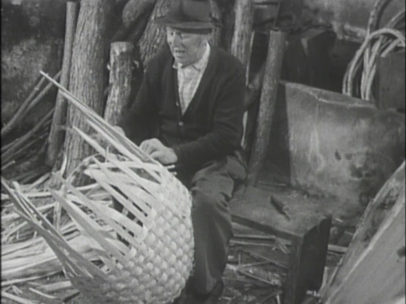 「冬をいきる、冬につくる」ECフィルム店内常時上映 （カゴアミドリ松本店）